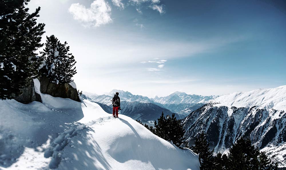 杭州湘湖有猴群“下山”了