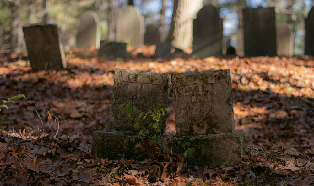 30年不粘不锈钢锅复产预售60元