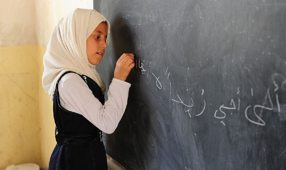 涿州有宠物美容学校，派多格宠物美容学校怎么样