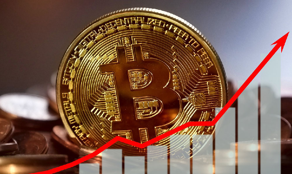 知识付费资源共享网站