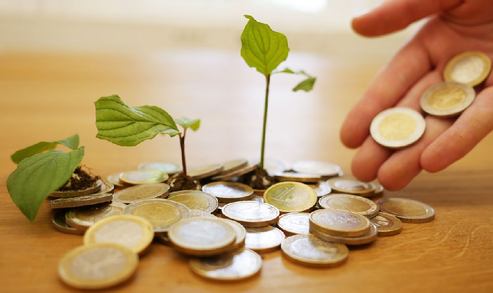 财经故事财经知识