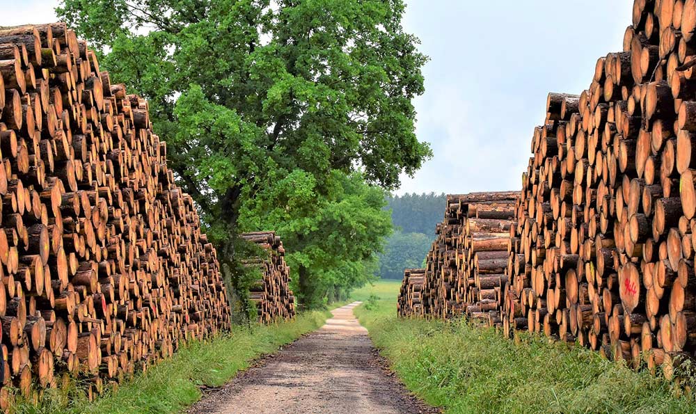 全國十大品牌地板背后的秘密力量：2026年消費者選購新趨勢全解析