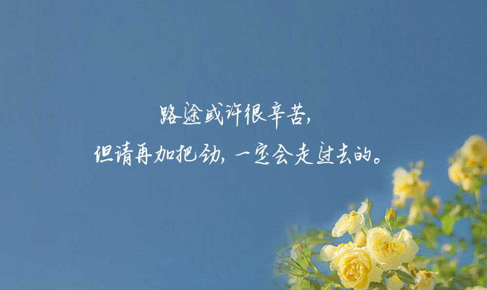 描写鸡翅的句子