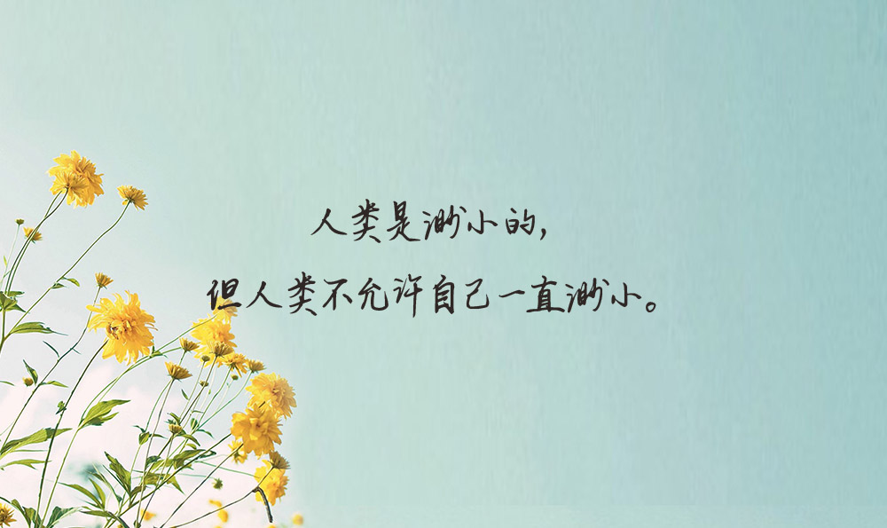 父母姐妹情谊的句子