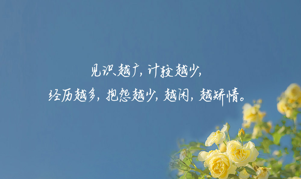 描写狗外貌的句子