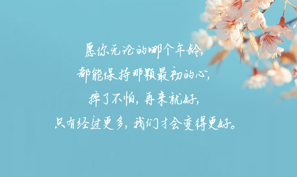 赞美摄影的句子