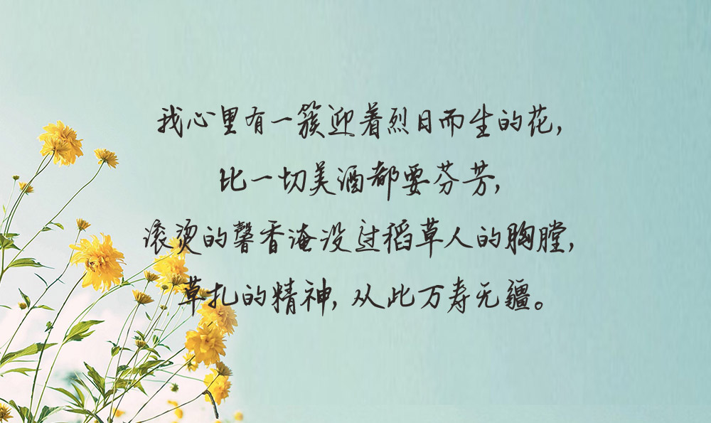 父母老了的句子