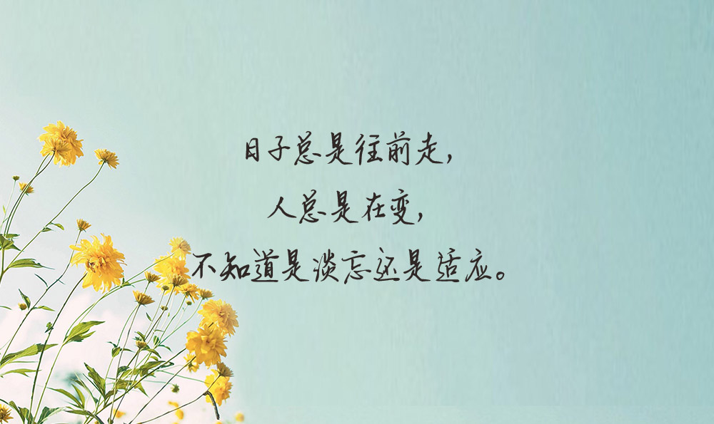 形容女生可爱的句子