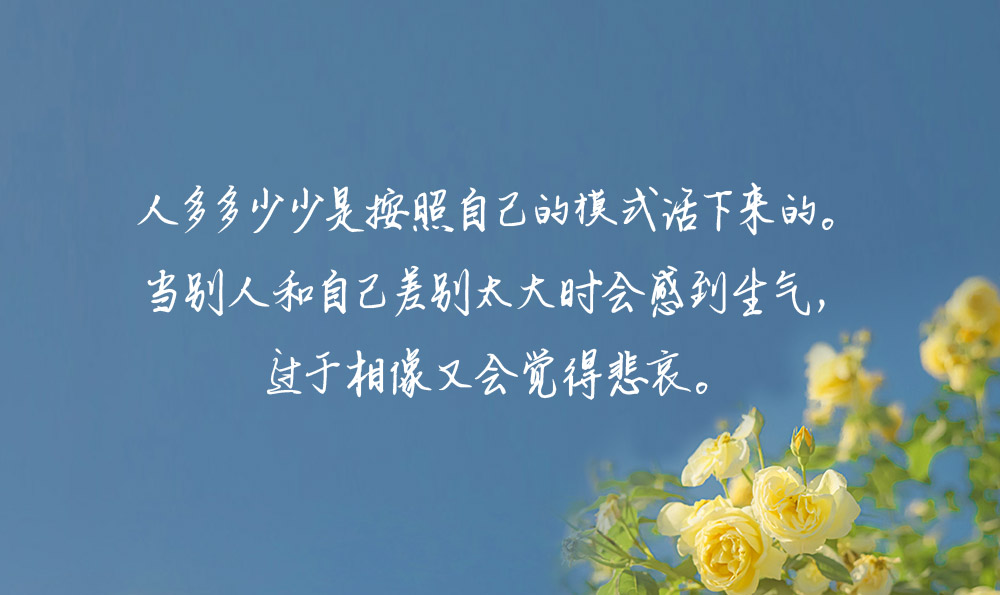 描写夏天校园的句子