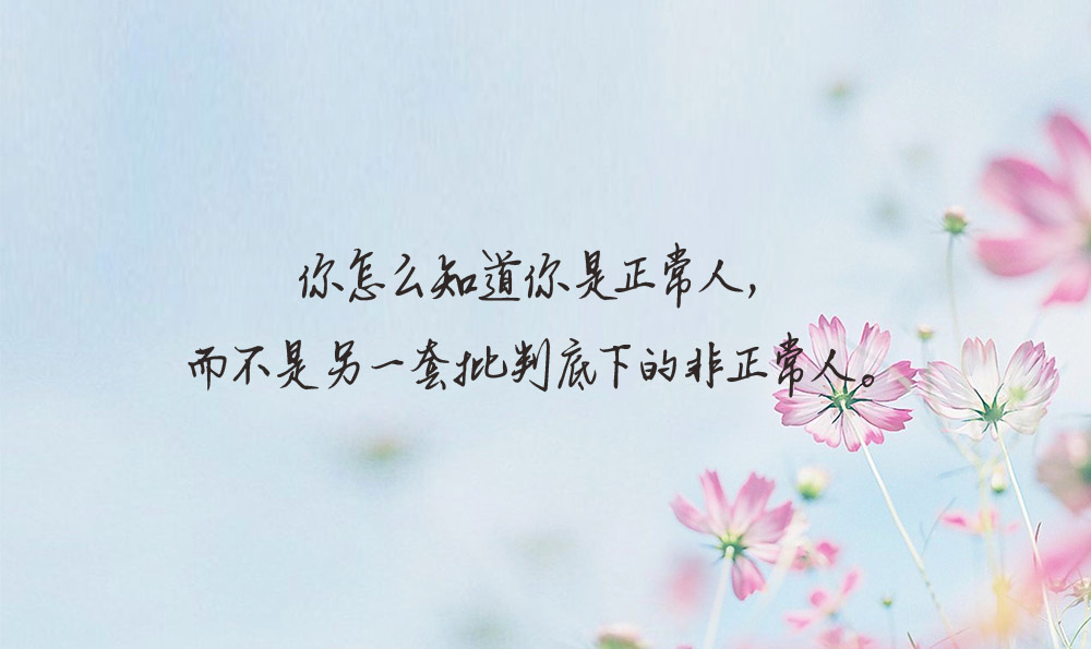 关于辩论的句子