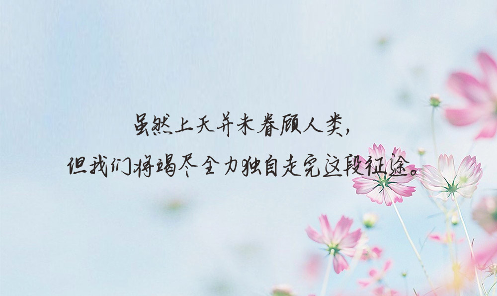 人生大道理句子