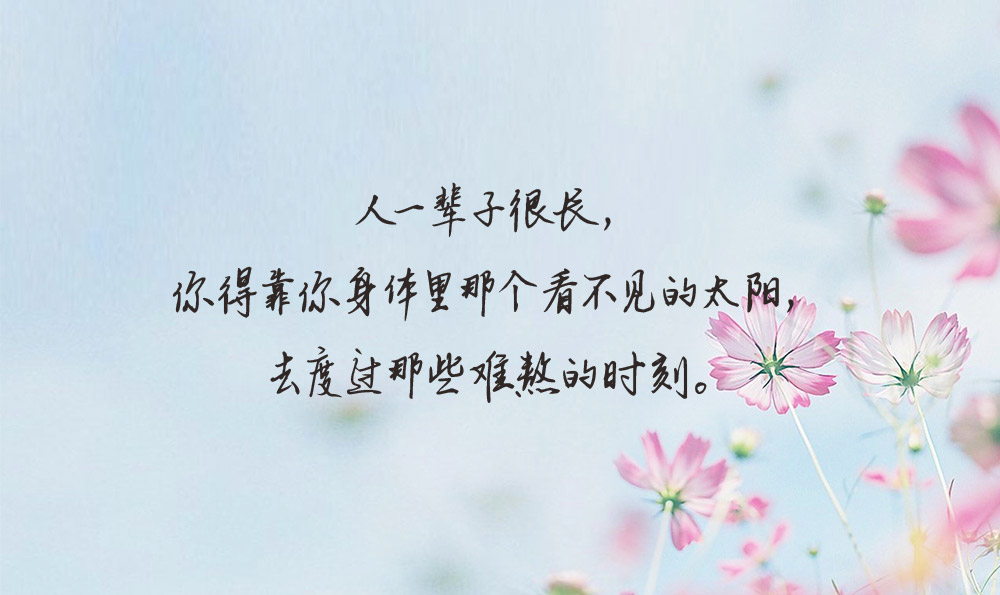 # 生活感悟的句子大全:点亮生活的智慧之光