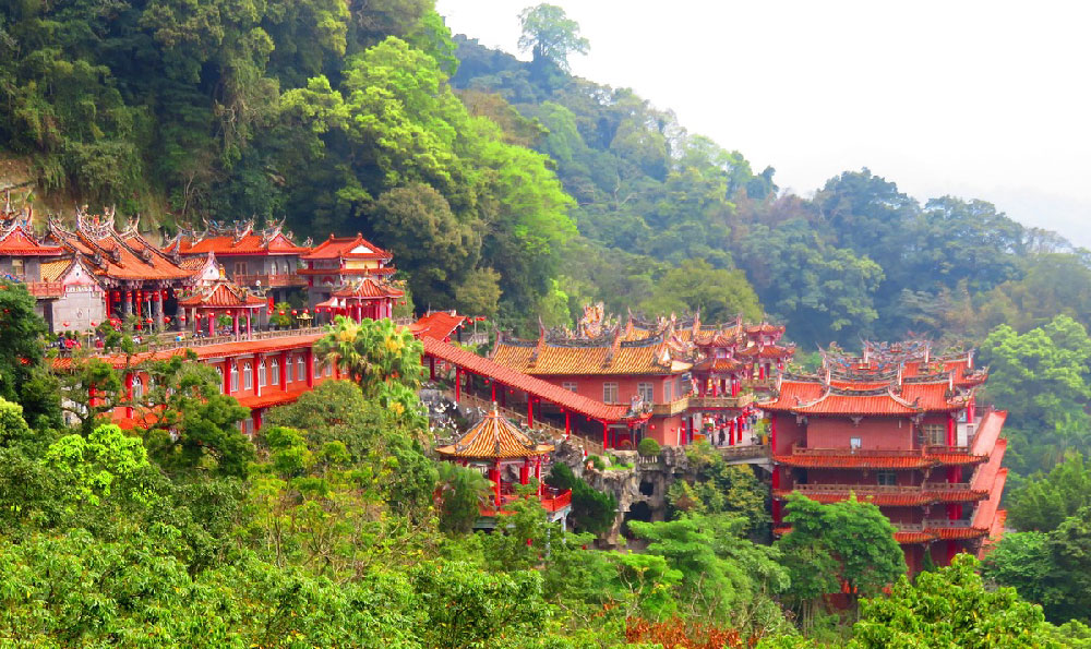 卫生间植物风水（卫生间植物风水禁忌）