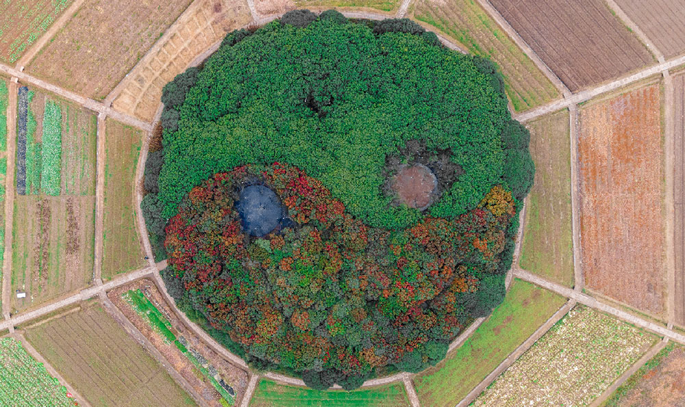 微波与风水（微波适合全方位传播吗）