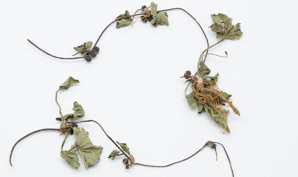 证监会主席吴清最新发声