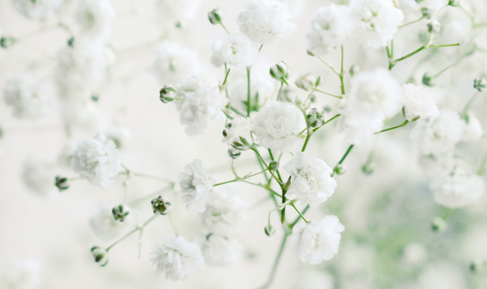 德学者和记者撞款:你的麦克风我也有