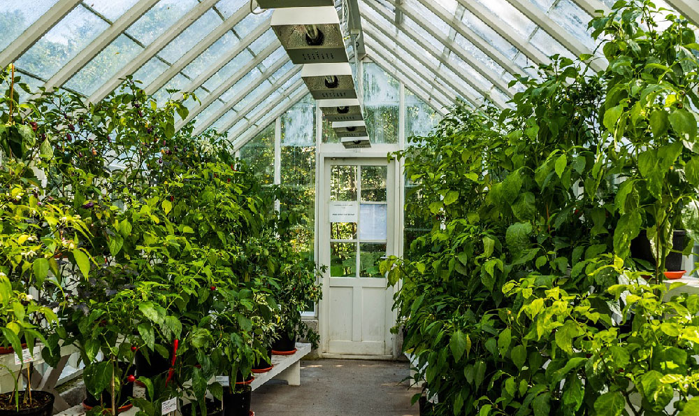 土耳其軍方一運輸機在格魯吉亞墜毀