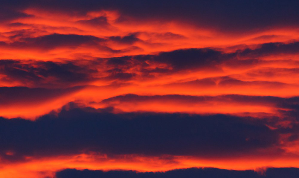 加沙停火后民众仍在“挣扎求生”