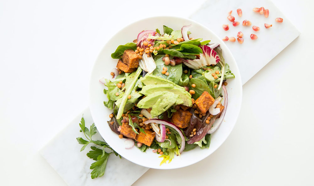 孤寡老人去世欠贷66万民政局清偿