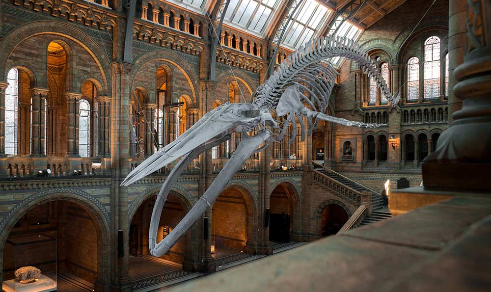 办电话卡需预存高额话费？江西通报