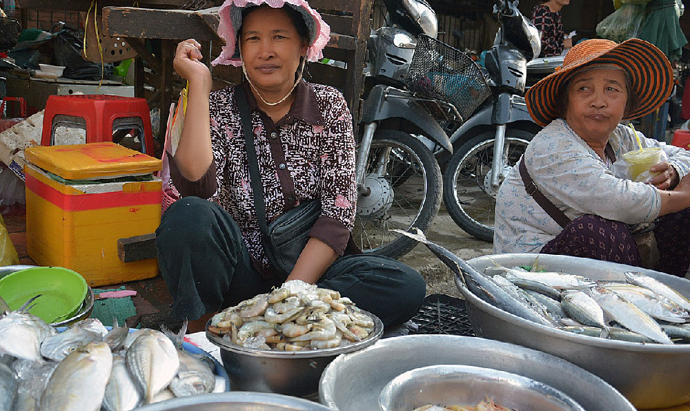 鑫鑫地摊大排档（鑫鑫地摊大排档怎么样）