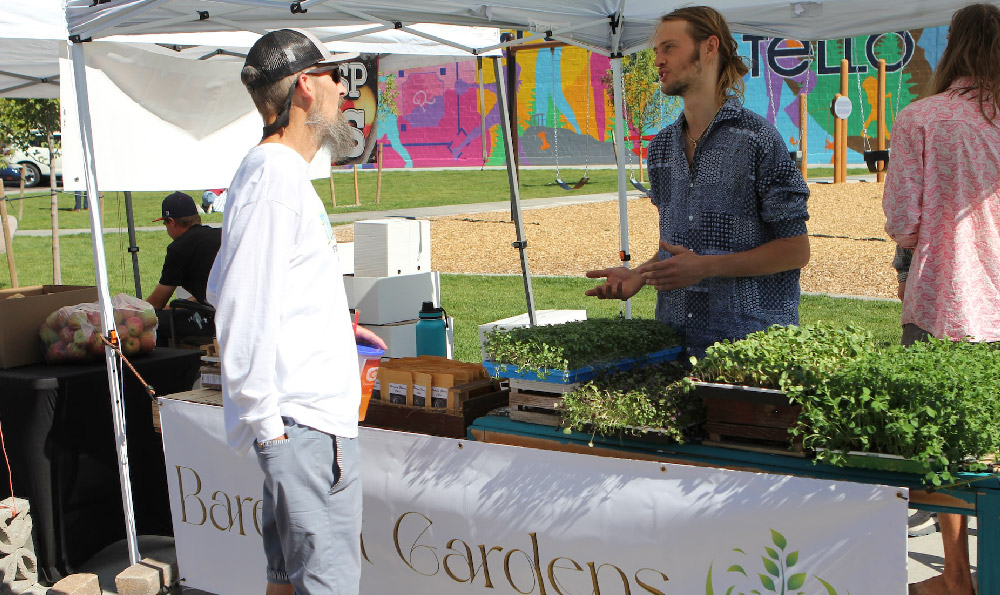 进了点好水果地摊卖不动