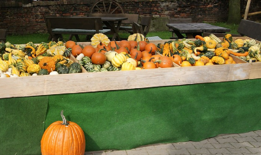 83岁老人摆地摊生意