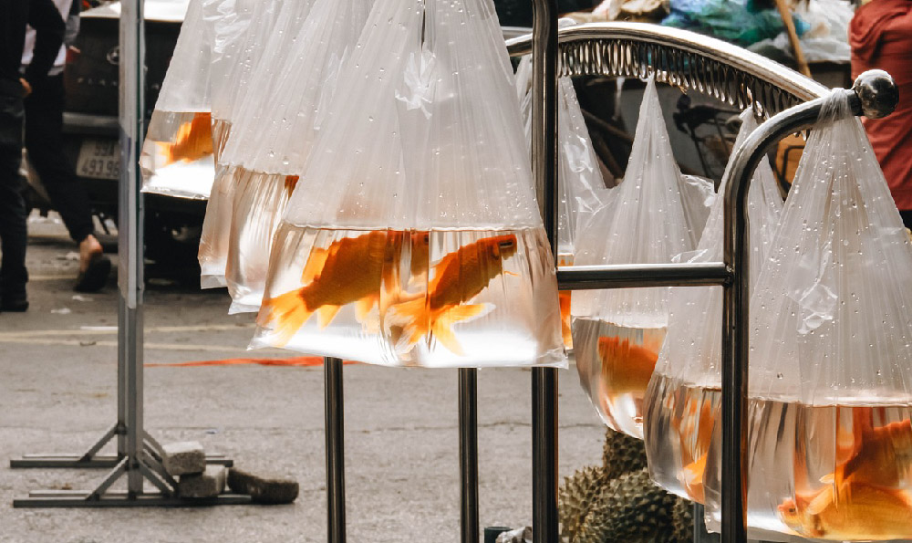 夏天适合卖的东西地摊货（夏天地摊买什么）