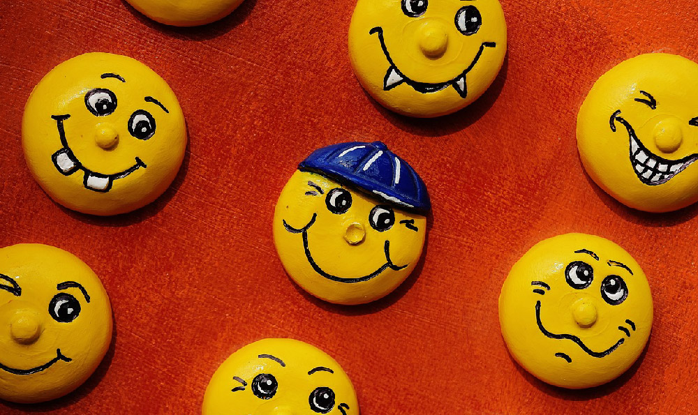 动物笑话哄女朋友