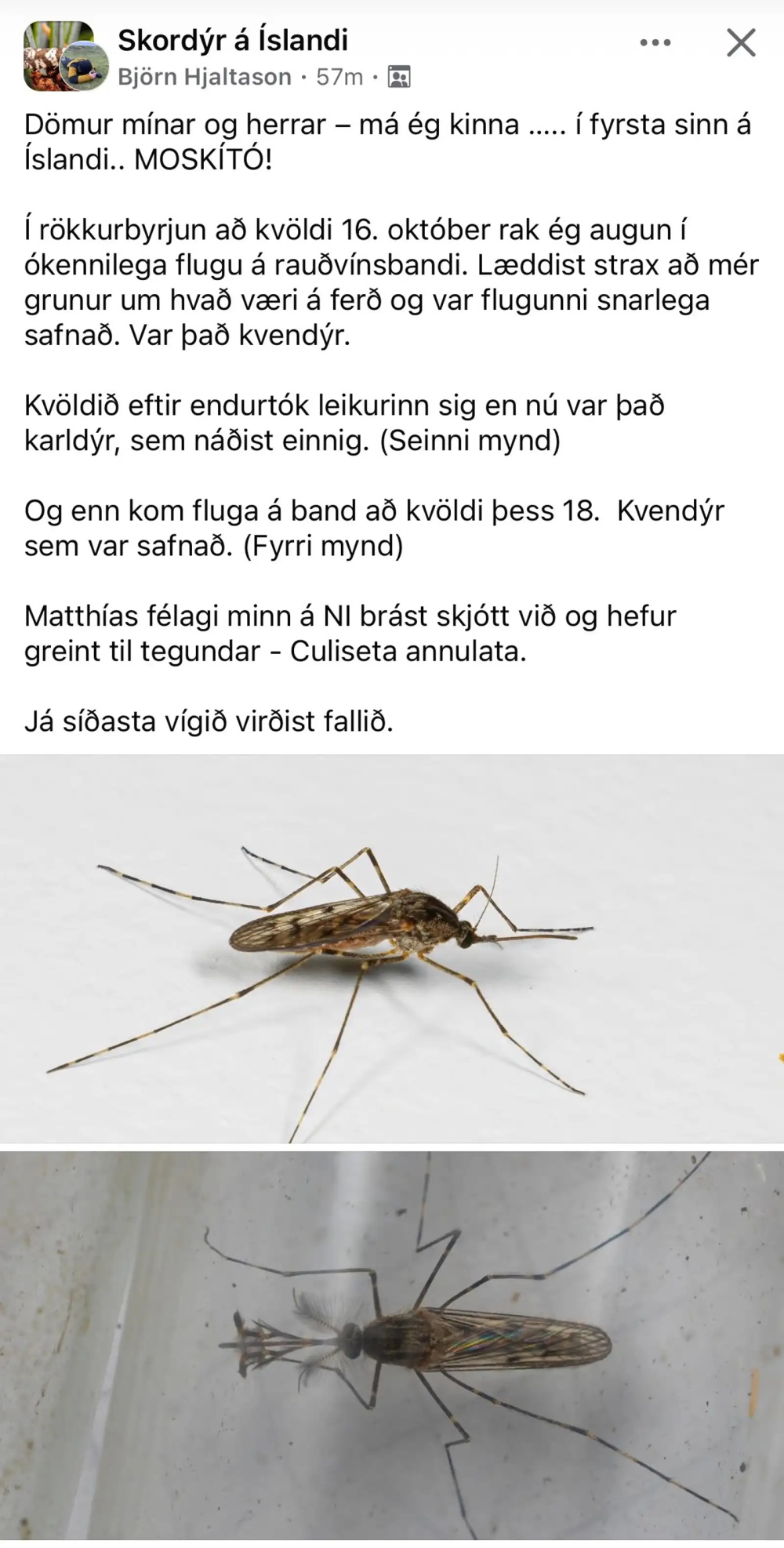 现在只剩南极没蚊子了