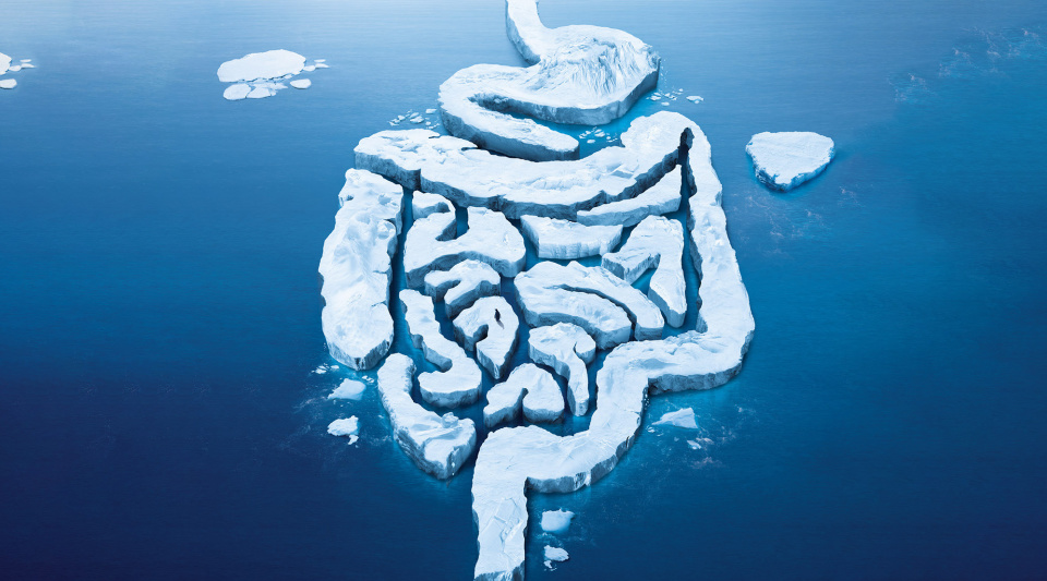 怪不得说肠道是人的第二个大脑