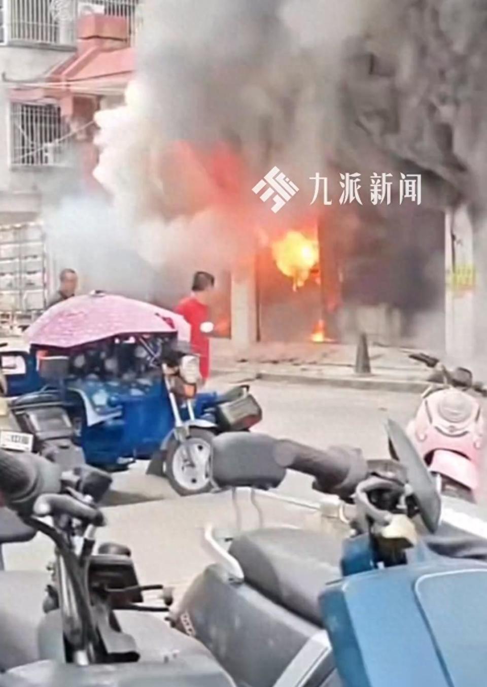 宠物店起火宠物无一生还