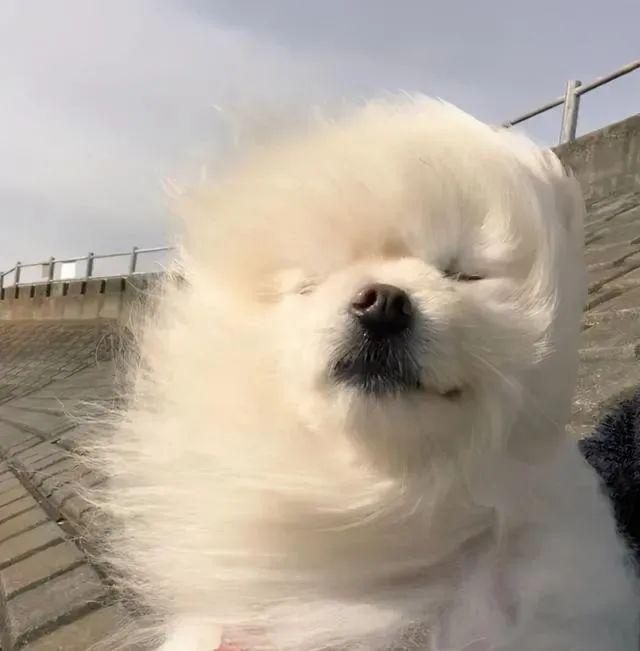 冷冷冷我冷冷冷