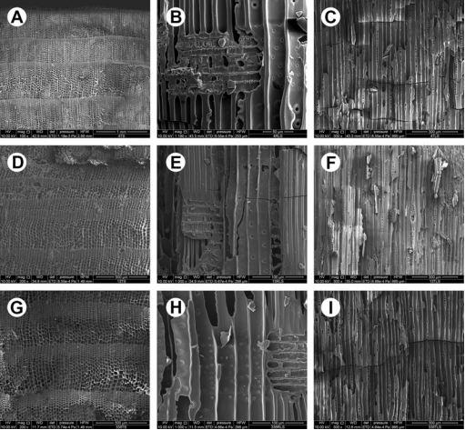 秦始皇帝陵又有新发现
