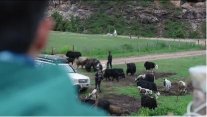 胡歌陈龙现身青海