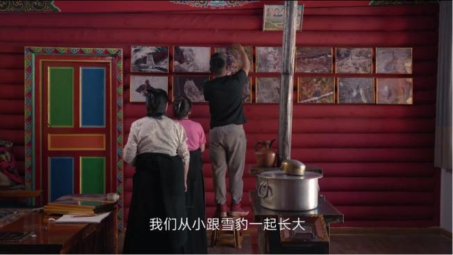 胡歌陈龙现身青海