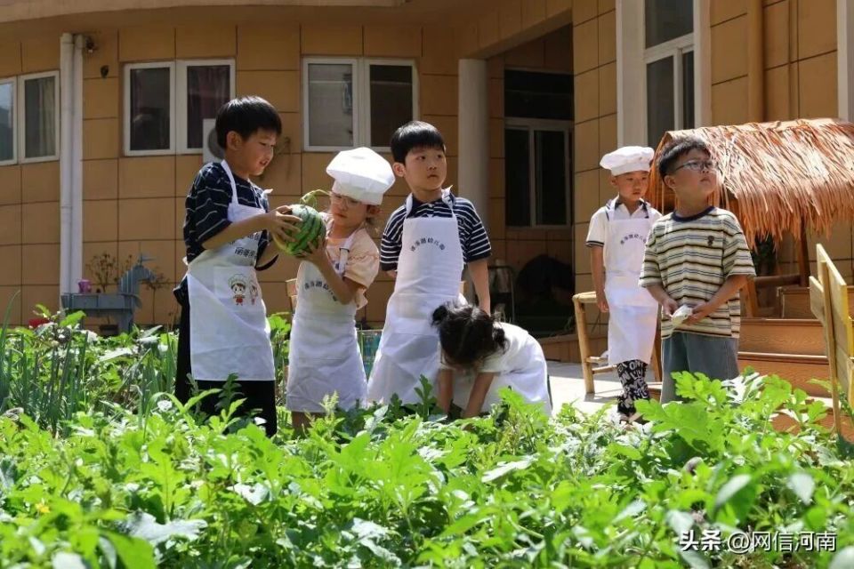 “吃苦幼儿园”为何能走红 “吃苦幼儿园”为何能走红