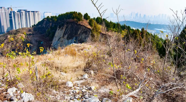 “摸金校尉”在村里租房3年秘密寻墓