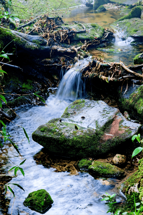 谁“偷走”了5A景区的游客