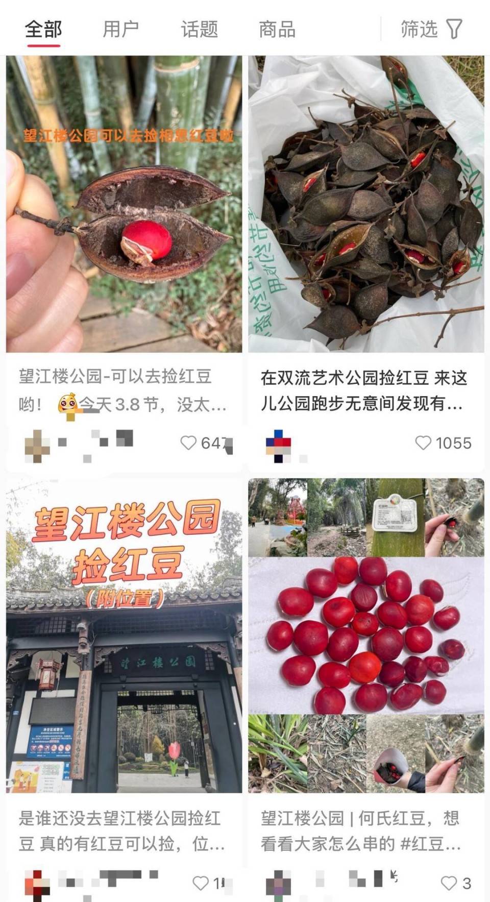 公园捡的“红豆”千万不要吃