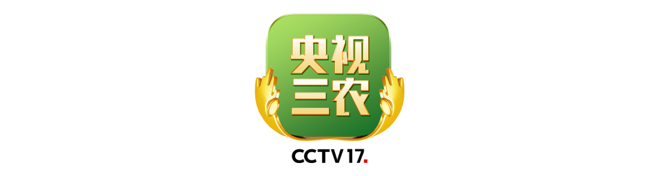 糖炒栗子加糖真不是为了甜