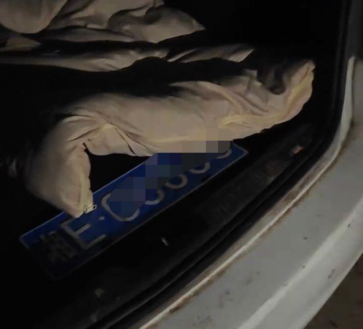 被毒蛇咬伤失联男子最新消息:人没事