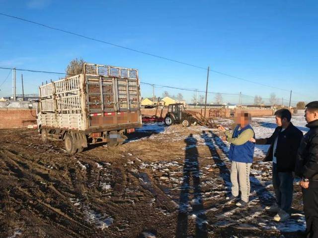 男子为博女主播关注偷10头牛打赏