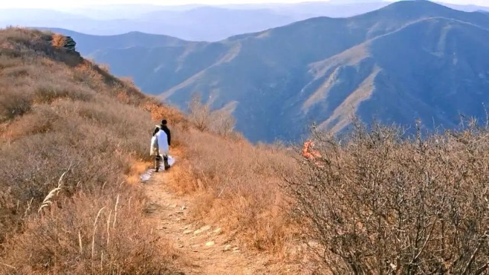 男子10年进山371次捡了2万多斤垃圾