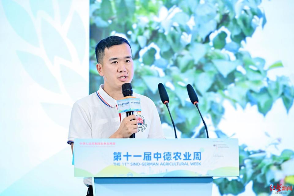 网吧老板返乡成杏园农场主 网吧老板返乡成杏园农场主