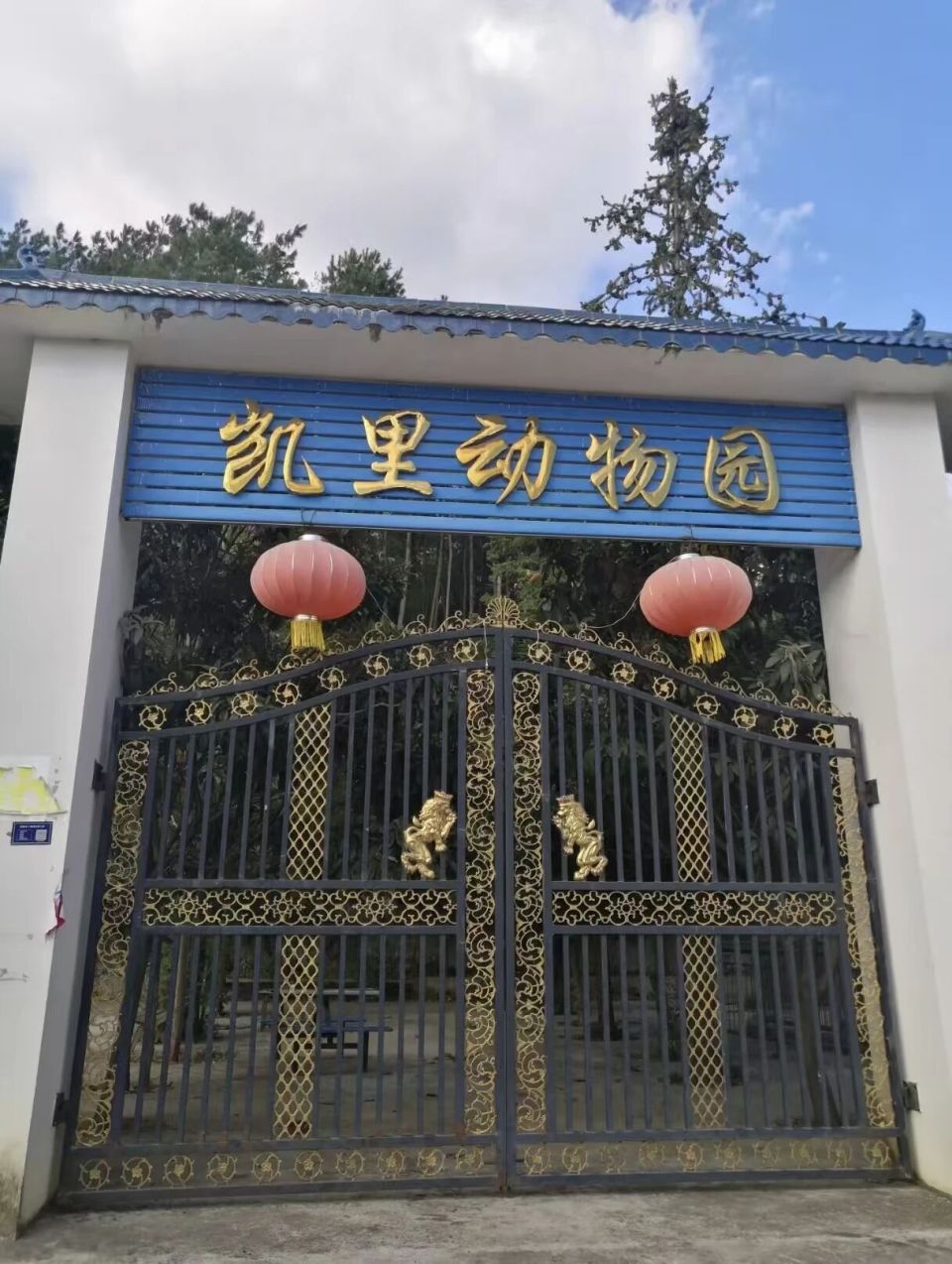 深山动物园请网友不要打钱了 深山动物园请网友不要打钱了