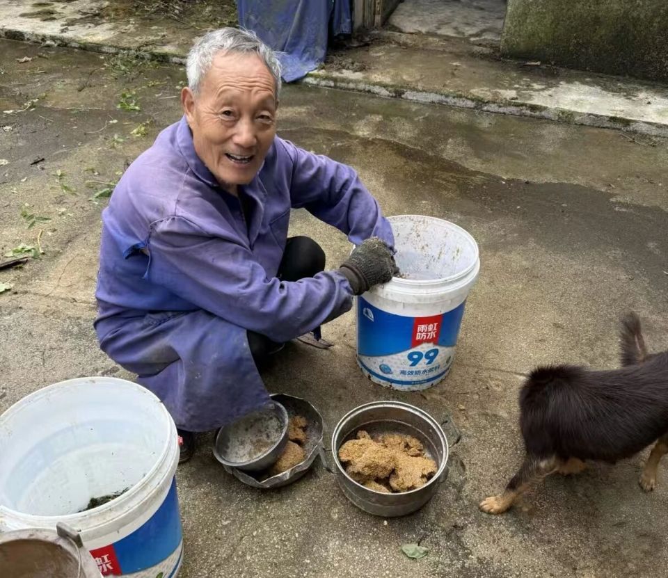 深山动物园请网友不要打钱了 深山动物园请网友不要打钱了