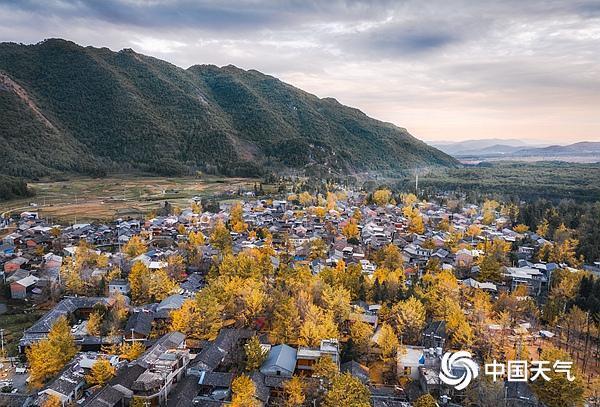 错过再等1年!全国银杏观赏地图来了 错过再等1年!全国银杏观赏地图来了