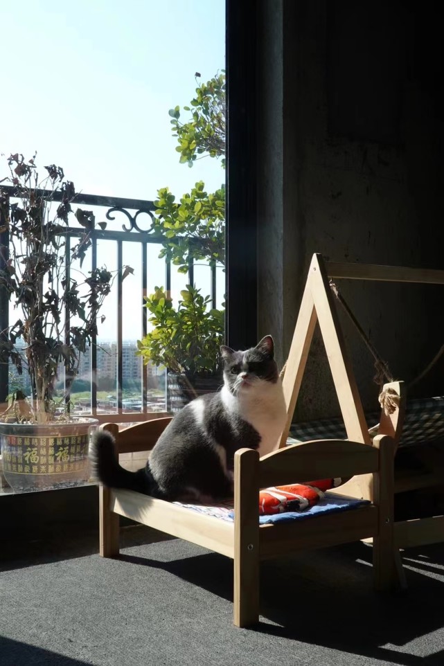 90后小伙花7000元装修入住毛坯房