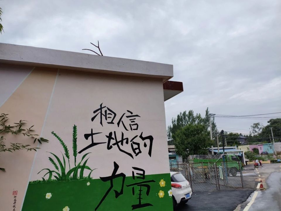 95后村支书把留守村变网红村 95后村支书把留守村变网红村